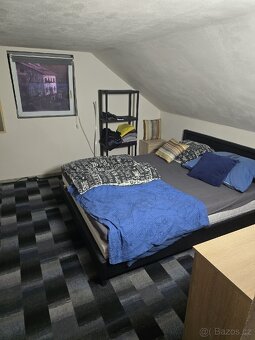 Domek se zahradou - 15