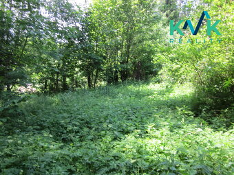Prodej pozemku o velikosti 3 489 m2, v OV, Tisová u Nejdku - 15