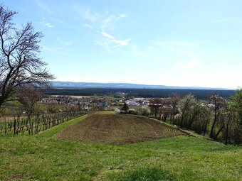 Prodej vinohradu 4114 m², Bzenec - 15