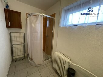 Pronájem, byt 2+1, 100 m2, Planá - 15