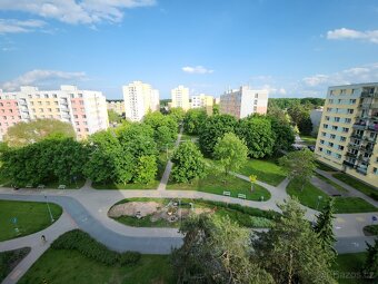 Prodej bytu 3+1, 75 m², Luďka Matury, Pardubice - 15