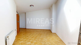 Praha 3 - Žižkov, pronájem mezonetového bytu 5+1 214 m2, okr - 15