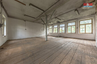 Prodej vily a výrobního objektu, 720 m², Nová Ves u Bakova - 15