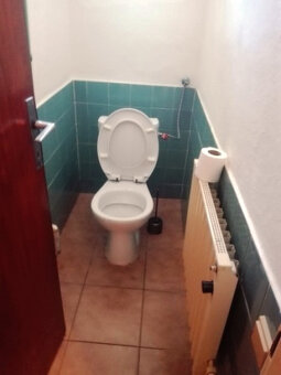 Pronajnu byt v rodinném domě - 15