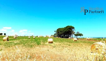 Prodej bytu 2+kk, Conversano, provincie Bari, Itálie - 15