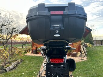 Tirumph Tiger 900 Rally Pro - 15