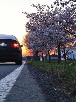 BMW e46 320ci - 15