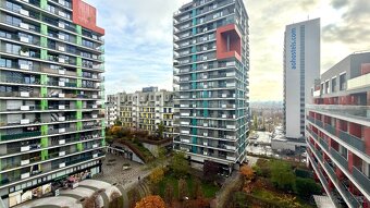 Pronájem bytu 1+kk   Praha 10 - 15