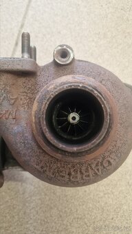 Turba na repas, různé druhy - 15