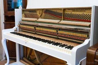 Petrof 117 Chippendale - 15