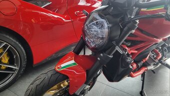 Ducati monster - 15