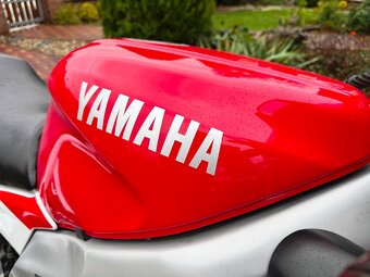 Yamaha YZF 600 Thundercat, původní stav - 15