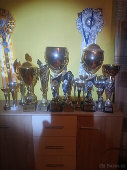 Rotvajler, rtw, rottweiler - 15