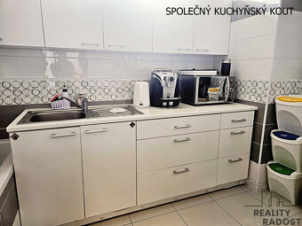 Pronájem reprezentativní kanceláře s terasou 10 m2 a parkova - 15