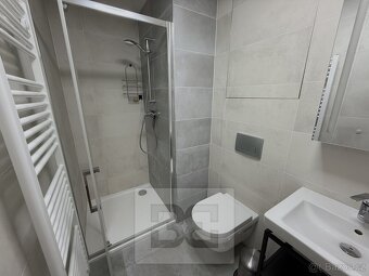 Pronájem bytu  1+kk, 40 m2 - Praha - Žižkov, ev.č. N08054 - 15
