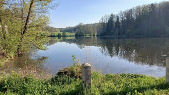 Prodej zahrádky s chatkou 198 m² - 15