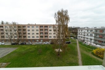 Pronájem 2+1 s balkonem, Karviná - 15