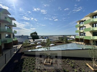 Pronájem byty 1+kk, 35 m2 - Znojmo, ev.č. N08017 - 15
