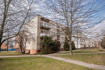Prostorný Byt 3+1 81,4m2 OV Hodonín - 15