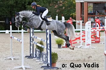 Hřebeček ČT -2025 - 15