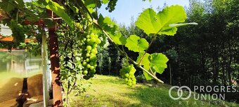 Nabízíme k prodeji krásnou chatu u přehrady Bystřička - 15