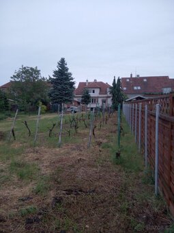 RD Lanžhot, velká zahrada, dvougenerační bydlení - 15