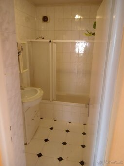 RD Lanžhot, velká zahrada, dvougenerační bydlení - 15