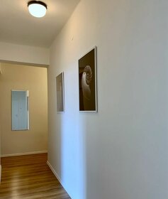 Prodej bytu 3+1, 62m2, Praha 2 - Nové Město - 15