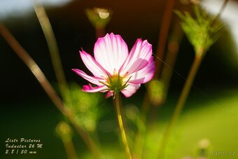 Dálkoměrný FED 3 + Industar 26M (2.8/50 mm) - 1961 - 15