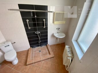 Prodej rodinného domu, 2 bytové jednotky, Zahrada - Střelice - 15