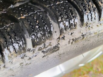 Prodam nebo vymenim - 15