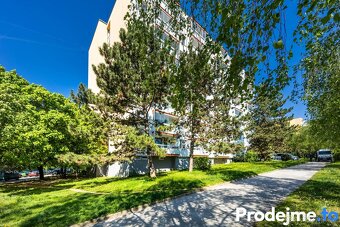 Prodej bytu 1+kk, 36 m2 - Ukrajinská, Brno - Bohunice - 15