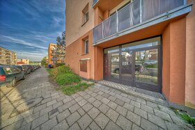 Prodej bytu 2+kk, 39 m² v obci Ledeč nad Sázavou - 15