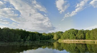 Prodej chaty Lázně Bohdaneč - 15