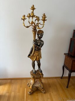 Světlonoš benatský - 15