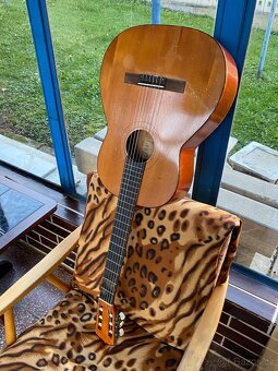 Kytara Cremona Luby - 15