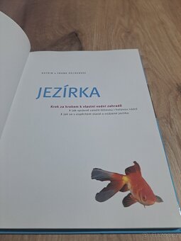 Zahradní jezírka + jezírka - 15