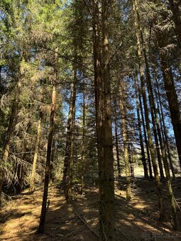 Prodám pozemky v k.ú. Horní Bolíkov - 15