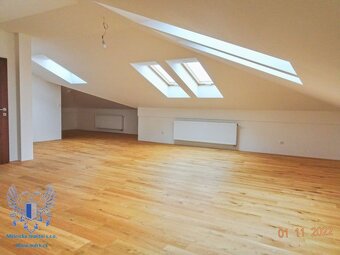 Prodej luxusní vily Mělník - 15