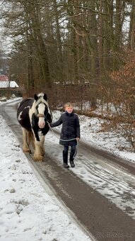 Kobyla s hribatkem - 15