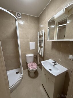 Pronájem bytů 3+kk 75 m2 - 15