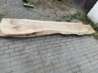 Ořechové fošny na nábytek (Ořešák královský) TOP kvalita - 15