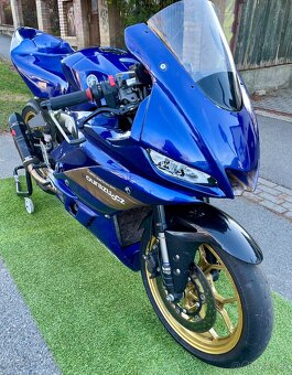 Yamaha R3 (GYTR) - okruhovka - 15
