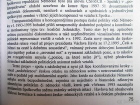 Češi a Němci 150 let po Bolzanovi (rozfocneo 17x) - 15