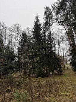 Prodám pozemky v k.ú. Veliny - 15