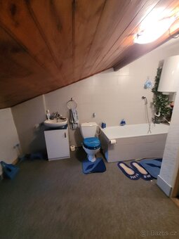 Prodej rodinného domu 400 m², pozemek 1 054 m² Moravany - 15
