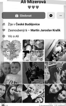 kočka Pardubice - 15