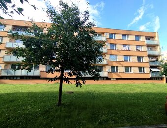 Pronájem bytu 1+1 v Turnově s výhledem, k nastěhování ihned - 15