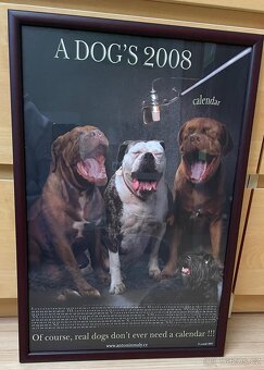 Foto Obrazy Antonín Malý s motivy psů 3 ks - 15