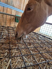 Kovový kryt na příkrmiště/ víko na příkrmiště - 15